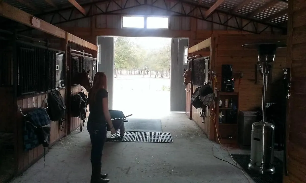 INTERIOR OF HORSE BARN