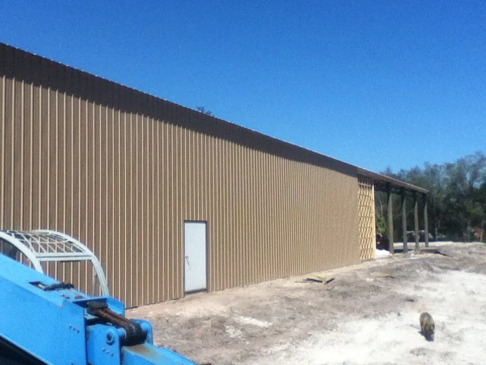 BUILIDNG WALLS